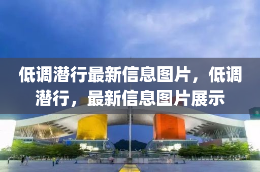 低調(diào)潛行最新信息圖金華市寶吉環(huán)境技術(shù)有限公司片，低調(diào)潛行，最新信息圖片展示