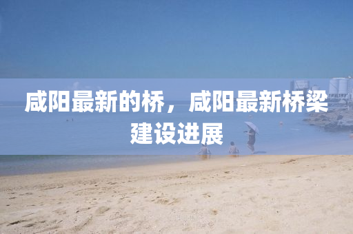 咸陽(yáng)最新的橋，咸陽(yáng)最新橋梁建設(shè)進(jìn)展金華市寶吉環(huán)境技術(shù)有限公司