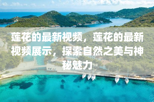 蓮花的最新視頻，蓮花金華市寶吉環(huán)境技術(shù)有限公司的最新視頻展示，探索自然之美與神秘魅力