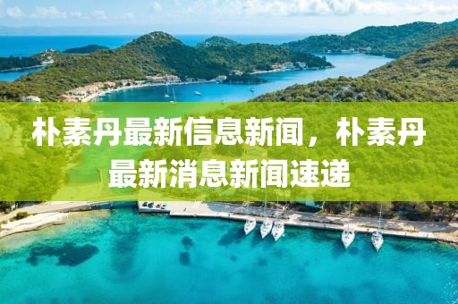 樸素丹最新信息新聞，樸金華市寶吉環(huán)境技術(shù)有限公司素丹最新消息新聞速遞
