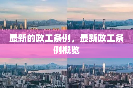 最新的政工條例，最新政工條例概覽金華市寶吉環(huán)境技術(shù)有限公司