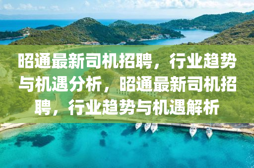 昭通最新司機招聘，行業(yè)趨勢與機遇分析，昭通最新司機金華市寶吉環(huán)境技術(shù)有限公司招聘，行業(yè)趨勢與機遇解析