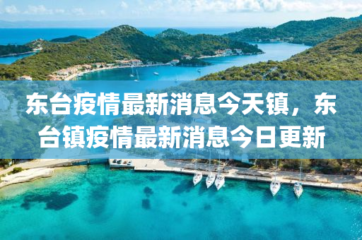 東臺疫情最新消息今天鎮(zhèn)，東臺鎮(zhèn)疫情最新消息今日更新金華市寶吉環(huán)境技術(shù)有限公司