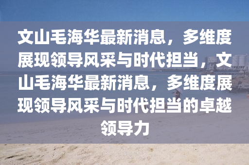 文山毛海華最新消息，多維度展現領導風采與時代擔當，文山毛海華最新消息，多維度展現領導風采與時代擔當的卓越領導力金華市寶吉環(huán)境技術有限公司