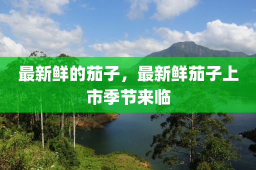 最新鮮的茄子，最新鮮茄子上市季節(jié)來(lái)金華市寶吉環(huán)境技術(shù)有限公司臨