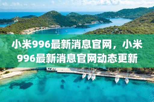 小米金華市寶吉環(huán)境技術(shù)有限公司996最新消息官網(wǎng)，小米996最新消息官網(wǎng)動(dòng)態(tài)更新