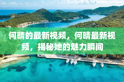 何晴的最新視頻，何晴最新視頻，揭秘金華市寶吉環(huán)境技術(shù)有限公司她的魅力瞬間