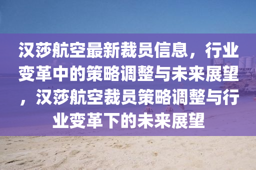 漢莎航空最新裁員信息，行業(yè)變革中的策略調(diào)整與未來展望，漢莎航空裁員策略調(diào)整與行業(yè)變革下的未來展望金華市寶吉環(huán)境技術(shù)有限公司