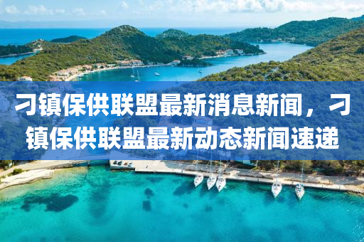 刁鎮(zhèn)保供聯(lián)盟最新消息新聞，刁鎮(zhèn)保供聯(lián)盟最新動(dòng)態(tài)新聞速遞金華市寶吉環(huán)境技術(shù)有限公司