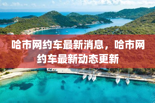 哈市網(wǎng)約車最新消息，哈市網(wǎng)約車最新動態(tài)更新金華市寶吉環(huán)境技術有限公司
