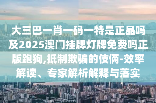 大三巴一肖一碼一特是正品嗎及2025澳門掛牌燈牌免費(fèi)嗎正版跑狗,抵制欺騙的伎倆-效率解讀、專家解析解釋與落實(shí)金華市寶吉環(huán)境技術(shù)有限公司