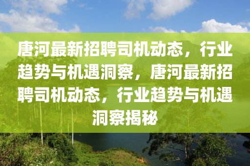 唐河最新招聘司機(jī)動態(tài)，行業(yè)趨勢與機(jī)遇洞察，唐河最新招聘司機(jī)動態(tài)，行業(yè)趨勢與機(jī)遇洞察揭秘金華市寶吉環(huán)境技術(shù)有限公司