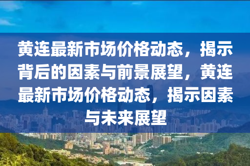 黃連最新市場價(jià)格動態(tài)，揭示背后的因素與前景展望，黃連最新市場價(jià)格動態(tài)，揭示因素與未來展望金華市寶吉環(huán)境技術(shù)有限公司