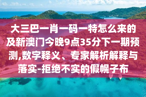 大三巴一肖一碼一特怎么來的及新澳門今晚9點(diǎn)3金華市寶吉環(huán)境技術(shù)有限公司5分下一期預(yù)測(cè),數(shù)字釋義、專家解析解釋與落實(shí)-拒絕不實(shí)的假幌子布
