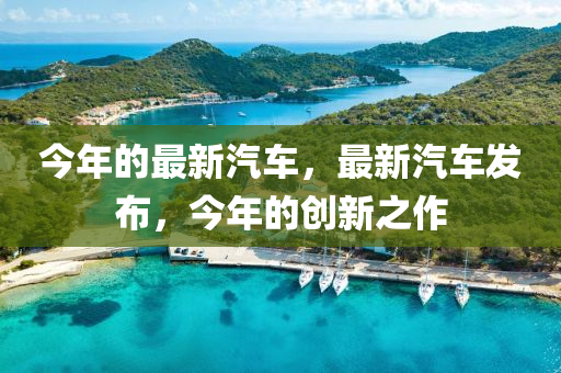今年的最新汽車，最新汽車發(fā)布，今年的創(chuàng)新金華市寶吉環(huán)境技術(shù)有限公司之作