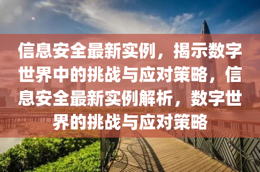 信息安全最新實(shí)例，揭示數(shù)字世界中的挑戰(zhàn)與應(yīng)對策略，信息安全最新實(shí)例解析，數(shù)字世界的挑戰(zhàn)與應(yīng)對策略