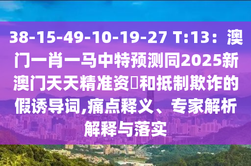 38-15-49-10-19-27 T:13：澳門一肖一馬中特預測同2025新澳門天天精準資枓和抵制欺詐的假誘導詞,痛點釋義、專家解析解釋與落實