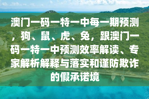 澳門(mén)一碼一特一中每一期預(yù)測(cè)，狗、鼠、虎、兔，跟澳門(mén)一碼一特一中預(yù)測(cè)效率解讀、專(zhuān)家解析解釋與落實(shí)和謹(jǐn)防欺詐的假承諾境