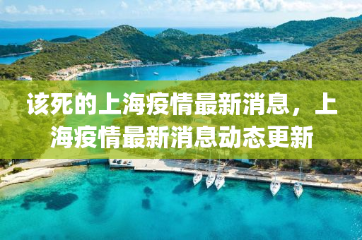 該死的上海疫情最新消息，上海疫情最新消息動(dòng)態(tài)更新