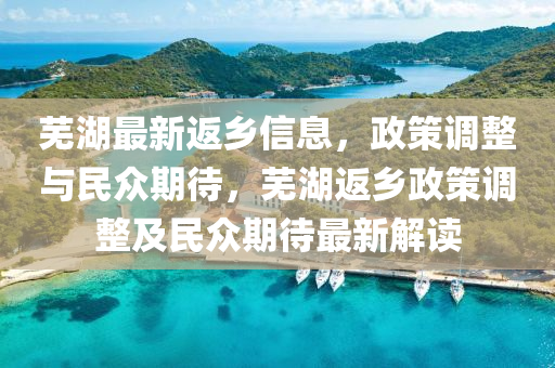 蕪湖最新返鄉(xiāng)信息，政策調整與民眾期待，蕪湖返鄉(xiāng)政策調整及民眾期待最新解讀