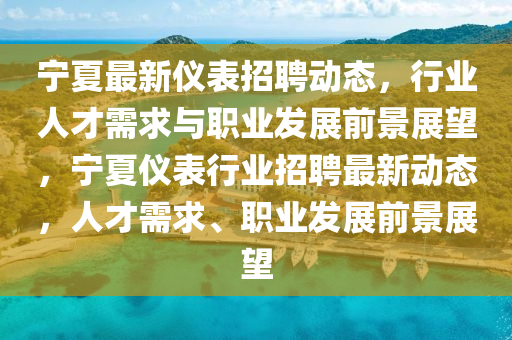 寧夏最新儀表招聘動(dòng)態(tài)，行業(yè)人才需求與職業(yè)發(fā)展前景展望，寧夏儀表行業(yè)招聘最新動(dòng)態(tài)，人才需求、職業(yè)發(fā)展前景展望金華市寶吉環(huán)境技術(shù)有限公司