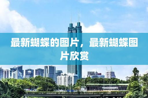 77777788888王中王中特點(diǎn)亮 第10頁