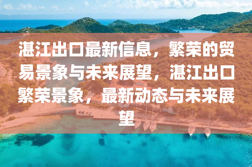 湛江出口最新信息，繁榮的貿(mào)易景象與未來(lái)展望，湛江出口繁榮金華市寶吉環(huán)境技術(shù)有限公司景象，最新動(dòng)態(tài)與未來(lái)展望
