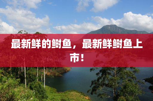 最新鮮的鰣魚，最新鮮鰣魚上市！金華市寶吉環(huán)境技術(shù)有限公司