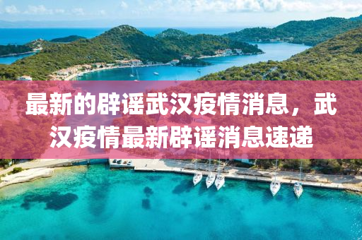 最新的辟謠武漢疫情消息，武漢疫情最新辟謠消息速遞金華市寶吉環(huán)境技術有限公司