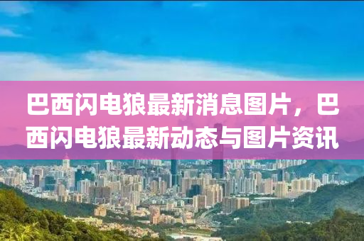 2025年11月14日 第3頁