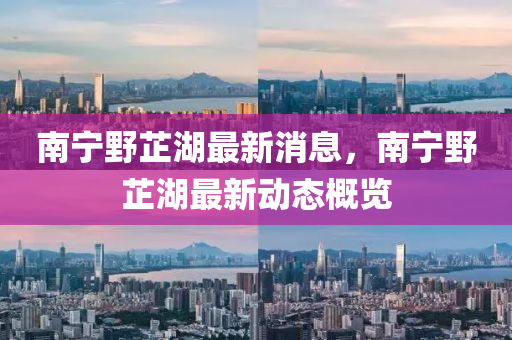 南寧野芷湖最新消息，南寧野芷湖最新動態(tài)概覽金華市寶吉環(huán)境技術(shù)有限公司