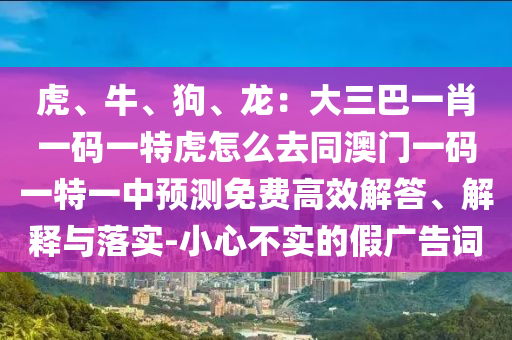 虎、牛、狗、龍：大三巴一肖一碼一特虎怎么去同澳門一碼一特一中預(yù)測免費(fèi)高效解答、解釋與落實(shí)-小心不實(shí)的假廣告詞金華市寶吉環(huán)境技術(shù)有限公司
