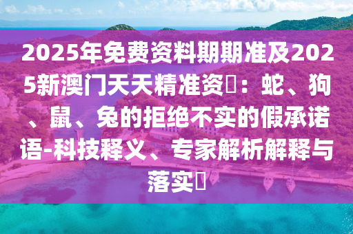 2025年11月23日 第11頁