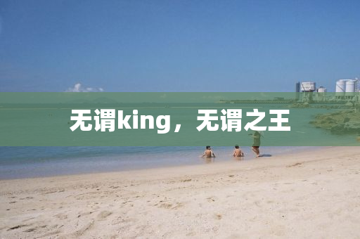 無謂king，無謂之王金華市寶吉環(huán)境技術(shù)有限公司