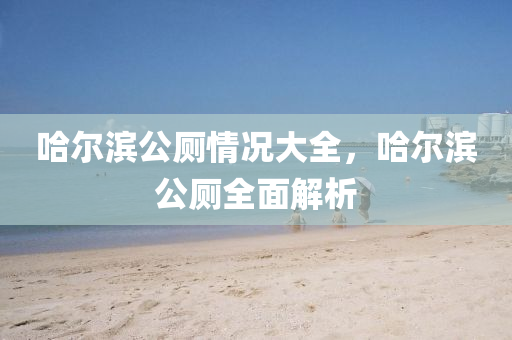 哈爾濱公廁情況大全，哈爾濱公廁全面解析