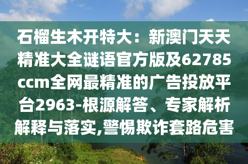 石榴生木開特大：新澳門天天精準(zhǔn)大全謎語官方版及62785ccm全網(wǎng)最精準(zhǔn)的廣告投放平臺(tái)2963-根源解答、專家解析解釋與落實(shí),警惕欺詐套路危害
